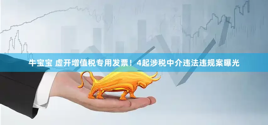 牛宝宝 虚开增值税专用发票！4起涉税中介违法违规案曝光