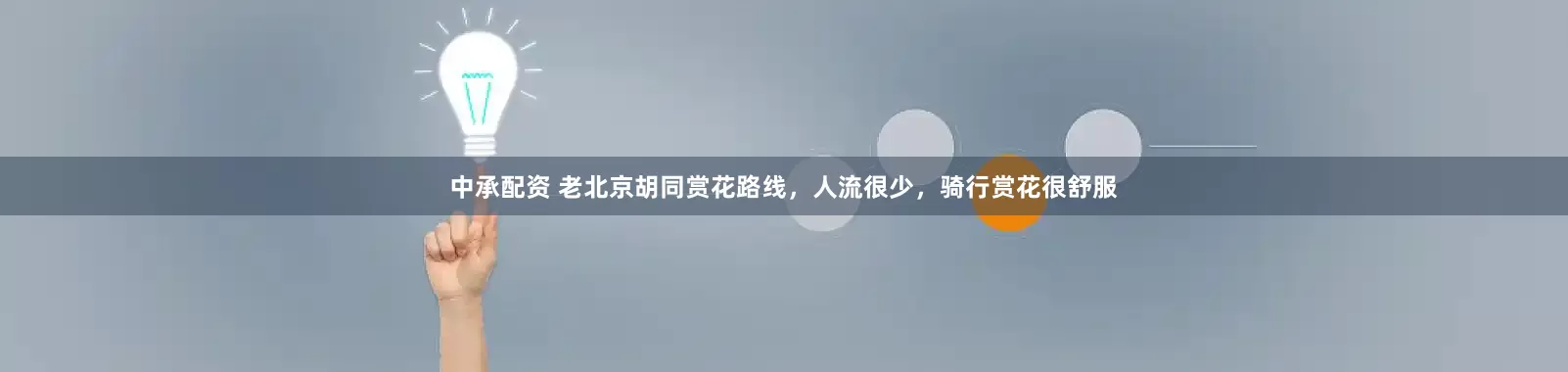 中承配资 老北京胡同赏花路线，人流很少，骑行赏花很舒服